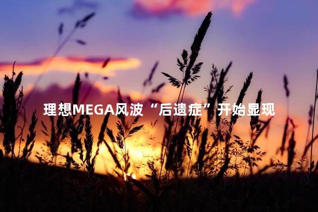 理想MEGA风波“后遗症”开始显现