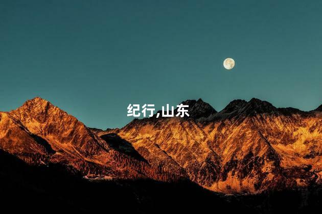 习近平总书记山东考察调研纪行