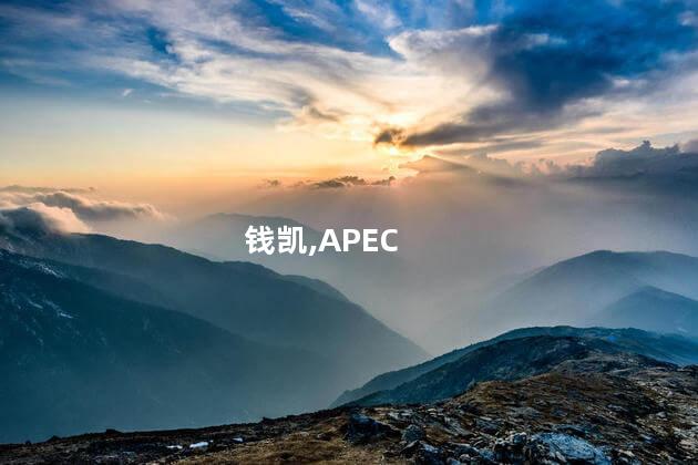 钱凯港“点亮”APEC