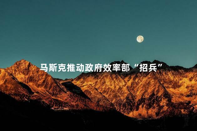 马斯克推动政府效率部“招兵”